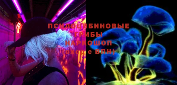 a pvp Алексин