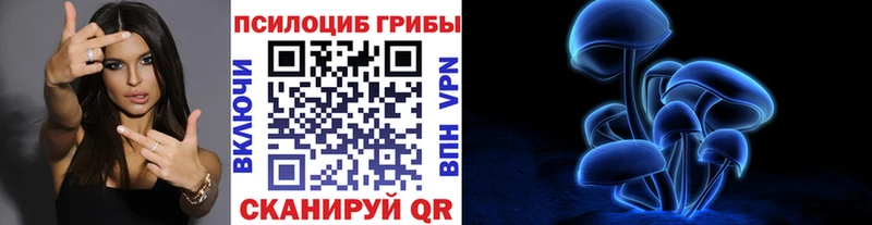 Галлюциногенные грибы Psilocybe  shop Telegram  Чайковский  hydra ONION 